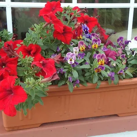 Πανσιόν Hollycrest Killybegs